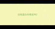 边牧蓝白色稳定吗