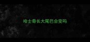 哈士奇长大尾巴会变吗
