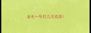 金毛一年打几次疫苗