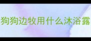 狗狗边牧用什么沐浴露