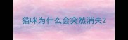 猫咪为什么会突然消失