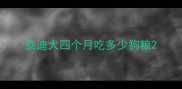 泰迪犬四个月吃多少狗粮
