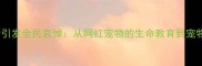 日本猫咪Maru离世引发全民哀悼从网红宠物的生命教育到宠物心理健康新关注