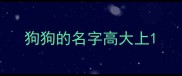 狗狗的名字高大上