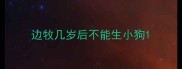 边牧几岁后不能生小狗