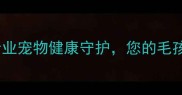 江北阳光宠物医院专业宠物健康守护您的毛孩在这里享受星级服务