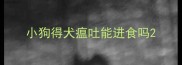 小狗得犬瘟吐能进食吗