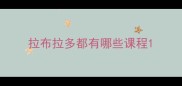 拉布拉多都有哪些课程