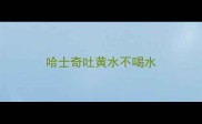 哈士奇吐黄水不喝水