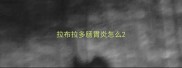 拉布拉多肠胃炎怎么