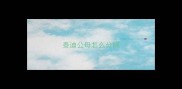 泰迪公母怎么分辨