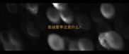 泰迪夏季注意什么