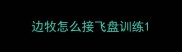 边牧怎么接飞盘训练