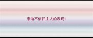 泰迪不信任主人的表现