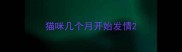 猫咪几个月开始发情