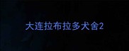 大连拉布拉多犬舍