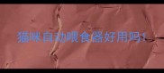 猫咪自动喂食器好用吗