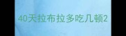 40天拉布拉多吃几顿
