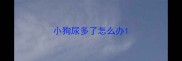 小狗尿多了怎么办
