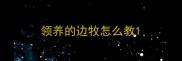 领养的边牧怎么教