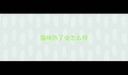 猫咪热了会怎么样