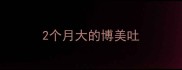 2个月大的博美吐