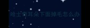 哈士奇耳朵下面掉毛怎么办