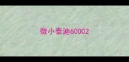 微小泰迪6000