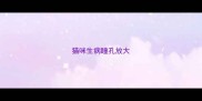 猫咪生病瞳孔放大