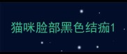 猫咪脸部黑色结痂
