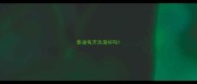 泰迪每天洗澡好吗