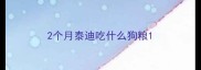 2个月泰迪吃什么狗粮