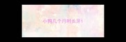 小狗几个月时长牙