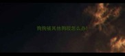 狗狗被其他狗咬怎么办