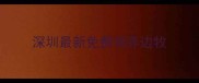 深圳最新免费领养边牧