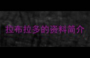 拉布拉多的资料简介