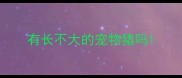 有长不大的宠物猪吗