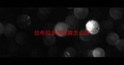 拉布拉多的肛腺怎么挤