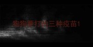 狗狗要打的三种疫苗