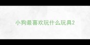 小狗最喜欢玩什么玩具