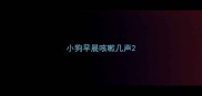 小狗早晨咳嗽几声