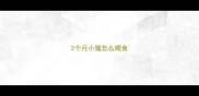 2个月小猫怎么喂食