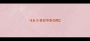 桂林免费领养宠物狗