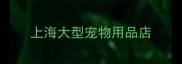 上海大型宠物用品店