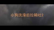 小狗洗澡后拉稀吐