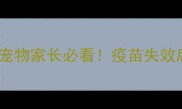 只打一次狂犬疫苗的宠物家长必看疫苗失效后的风险与补救指南