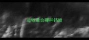 边牧适合哪种钙粉