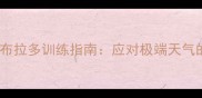 暴风拉布拉多训练指南应对极端天气的5大秘诀