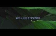 如何从国外进口宠物狗