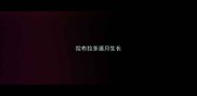 拉布拉多逐月生长
